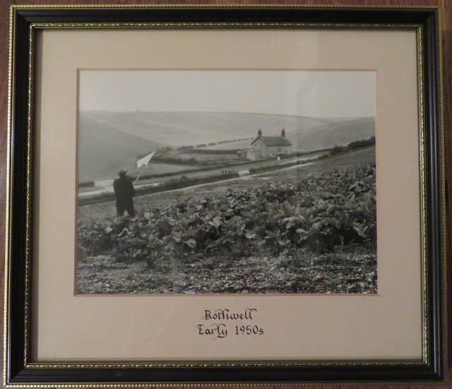 Gallery image 1