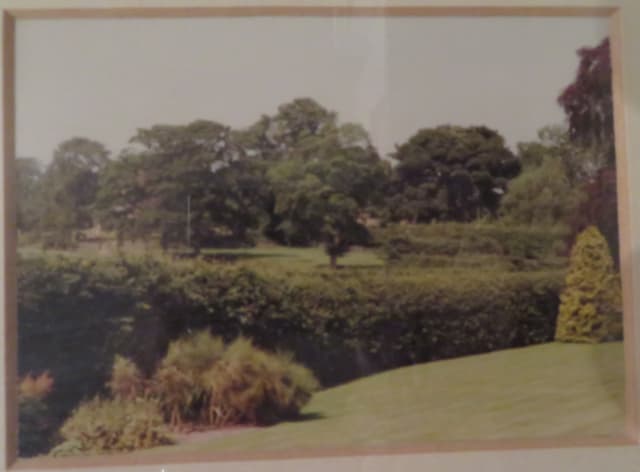 Gallery image 3