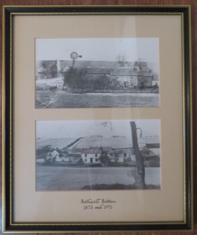 Gallery image 1