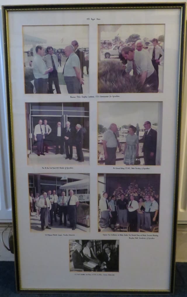 Gallery image 1