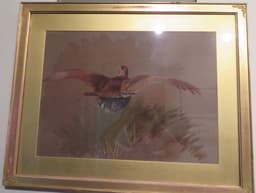 Painting of a grouse