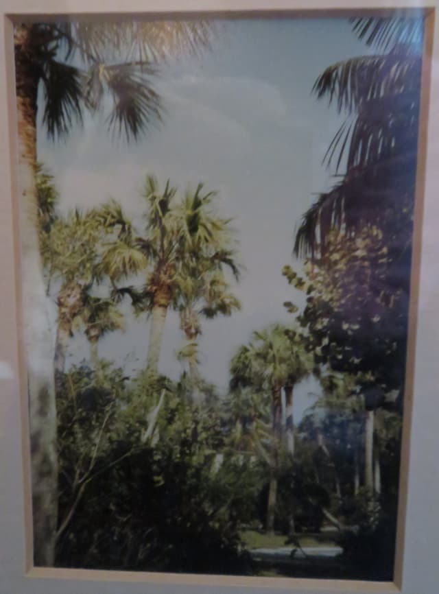 Gallery image 3