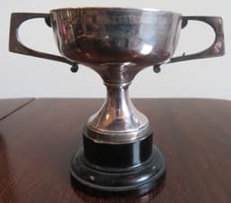 The John William Nickerson Memorial Cup