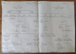 Family tree of Shadrach Fitzherbert Nickerson