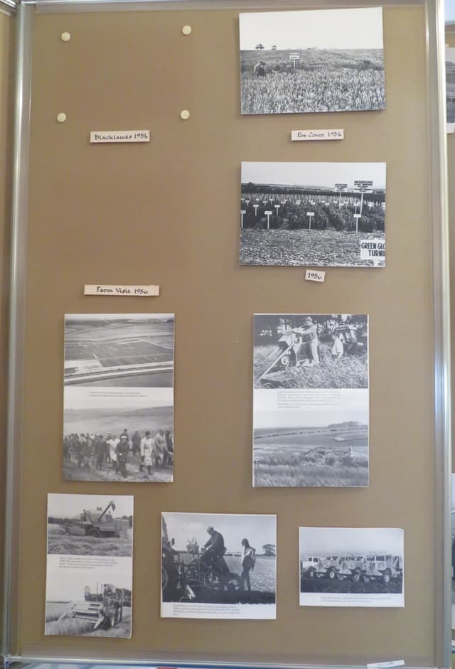 Gallery image 1