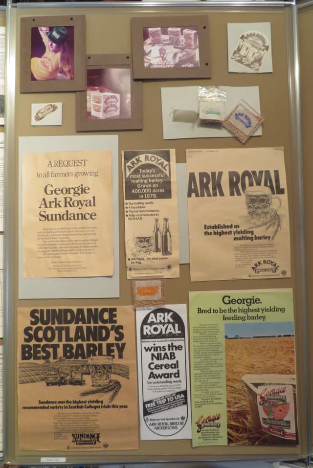 Gallery image 1