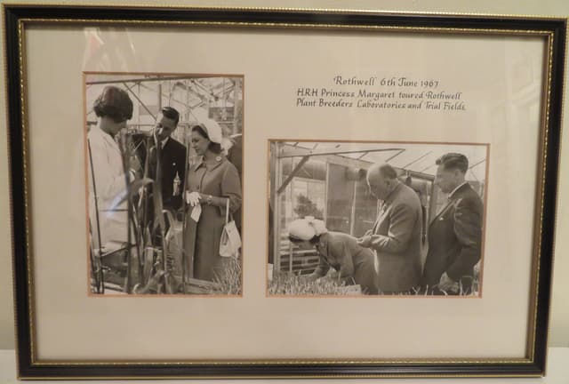 Gallery image 1