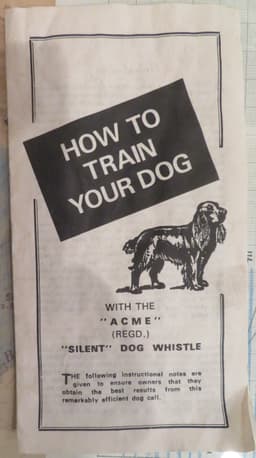 How To Train Your Dog