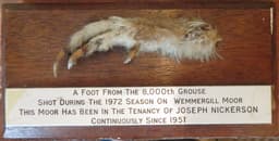 Grouse foot