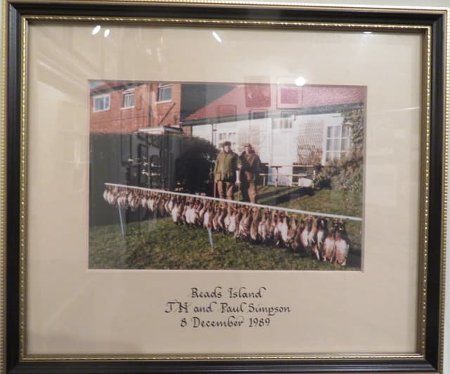 Gallery image 1
