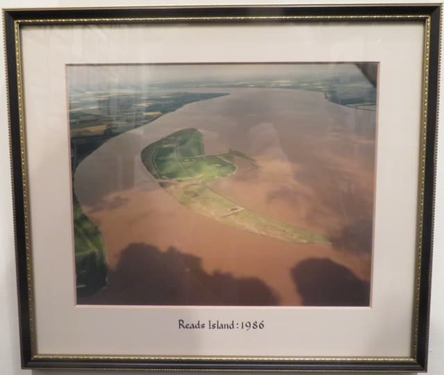 Gallery image 1