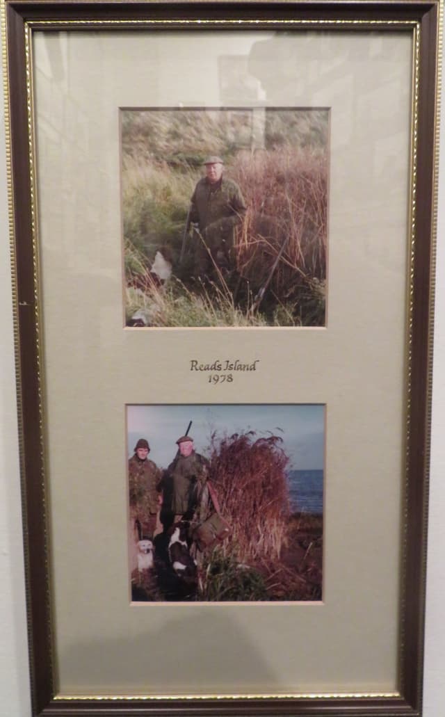 Gallery image 1