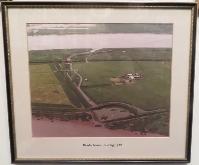 Gallery image 1