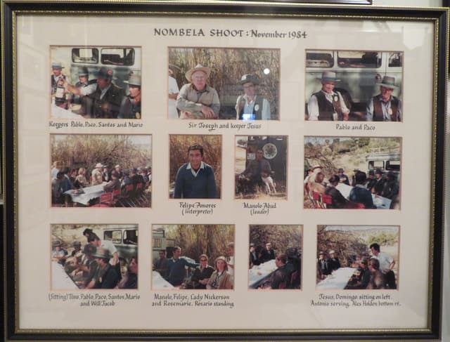 Gallery image 1