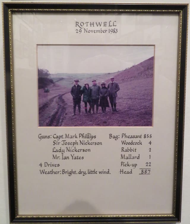 Gallery image 1