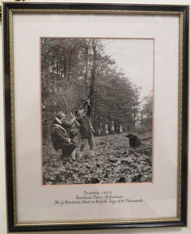 Gallery image 1
