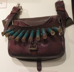 Cartridge bag