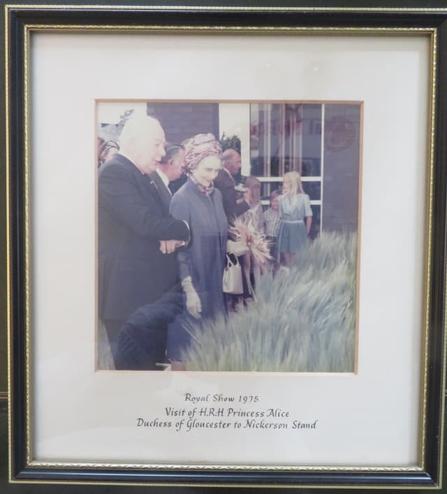 Gallery image 1