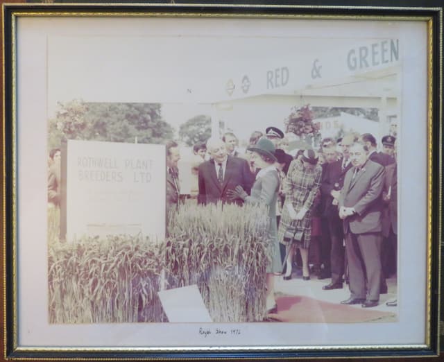 Gallery image 1