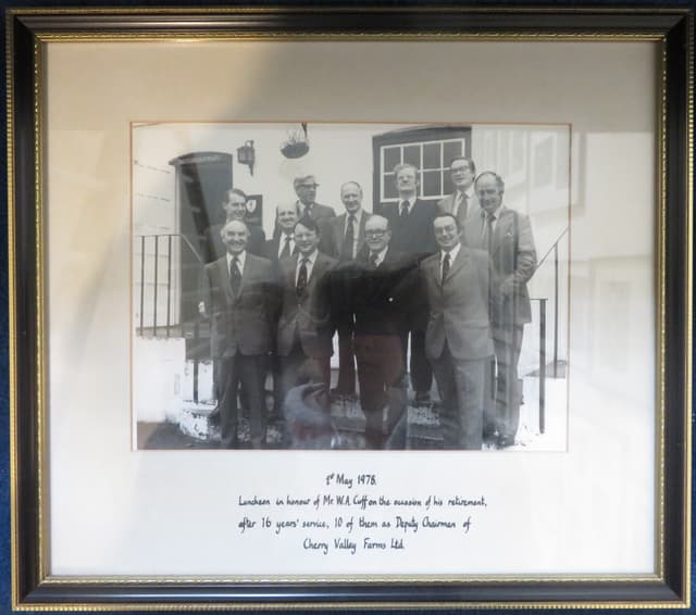 Gallery image 1